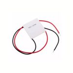 PlacaPeltierVixParaBebedouroBivoltD36904