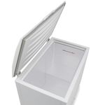 ConservadorHorizontalGelopar306LitrosBrancoGHBS310BR–220Volts