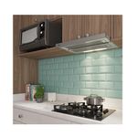 Depurador Fischer Slim 60 cm - 2.jpg