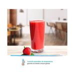 Refresqueira-IBBL-BBS2-Inox---6.jpg