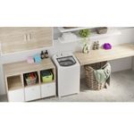 Imagemambientalizada