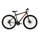 Bicicleta.jpg